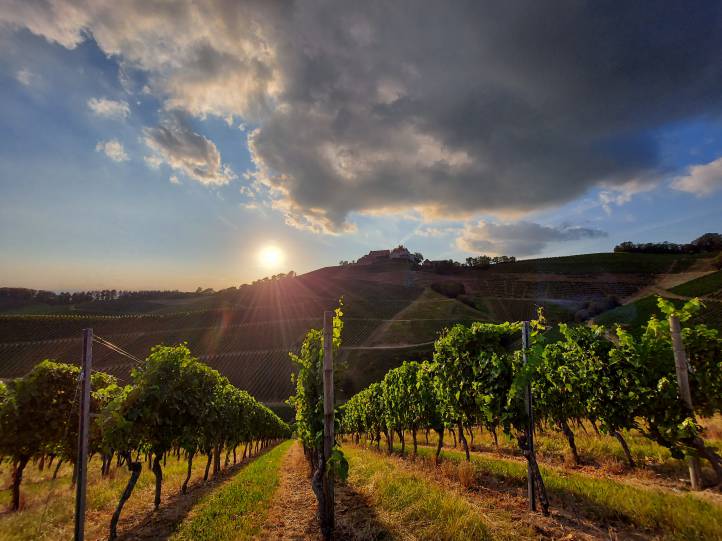 Sonnenuntergang in Durbach