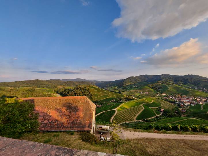 Ausblick von Schloss Staufenberg