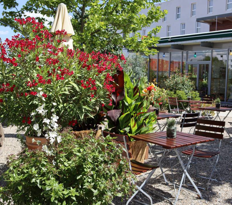 Blumen mit Biergartengarnitur im Außenbereich